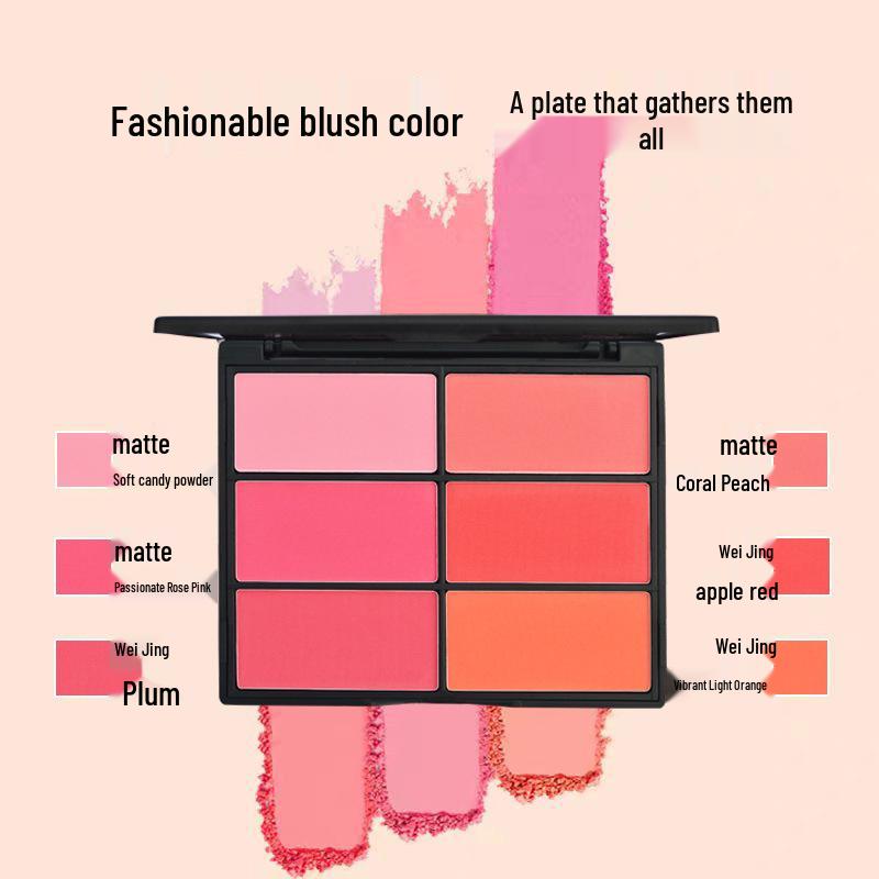 Six-Color Blush Palette: Large Multi-Tone Rouge for Makeup Artists and Students - Ideal for Studio and Stage.