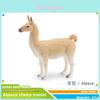 Farm Animal Pvc Figurines Collection For Home Decor With Sheep Alpaca Ram And Goat