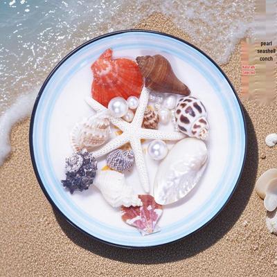 Nautical Seashell & Starfish Photo Prop Set - Ocean Decor & Specimen Display