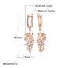 Kienl  Full Shiny Natural Zircon Long Drop Earring For Women  Rose Gold Color Unique Crystal Grape Daily Vintage Jewelry