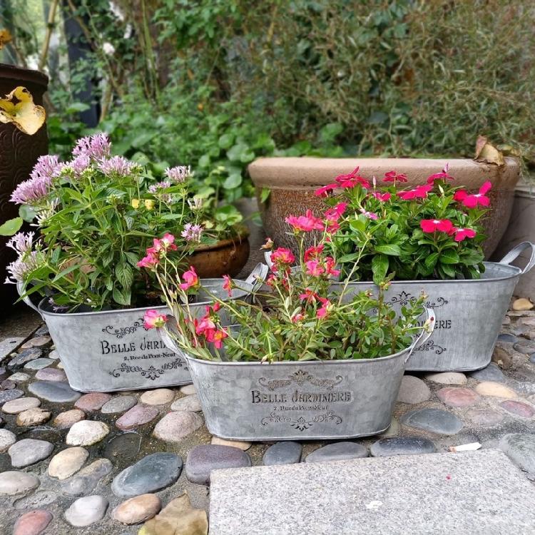 Blumentopf Pflanzgefäß Eimer Metallkübel Blumentöpfe Hochbeete Bauernhaus Pflanzkübel Gartenpflanzer