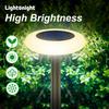 Colorful Solar Colorful Solar Lights Outdoor, Color Changing Solar Lights with Remote, Colorize Pathway Lights Solar Garden Lights for Landscape