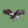 Reflective Raptor Decoy Humane Fake Avian Double-Sided Decoration