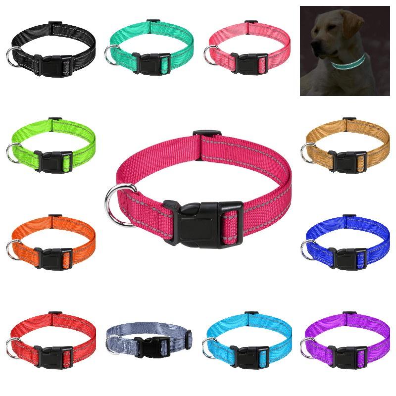 Durable Reflective Neoprene Dog Collar Available In 12 Vibrant Colors And 5 Sizes