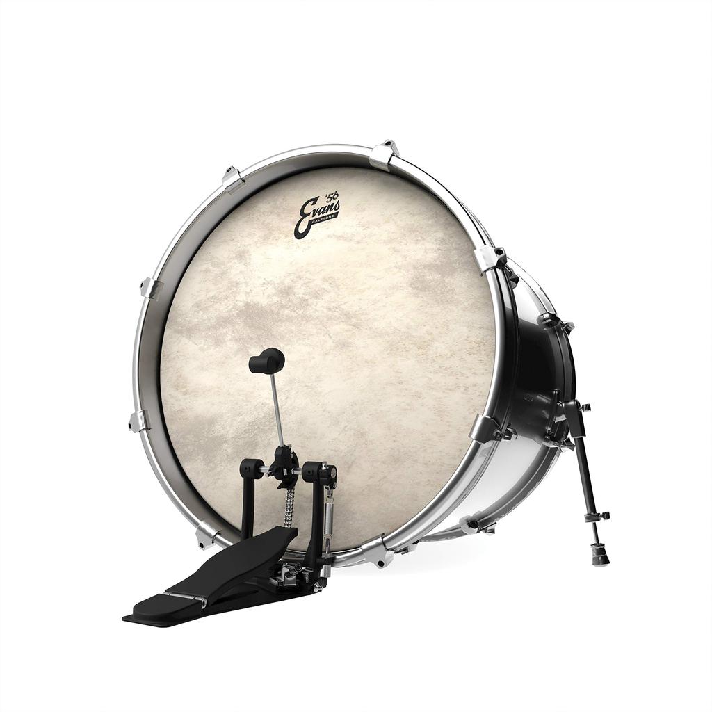 EVANS Evans drum head Calftone Tom Hoop TT16CT 16 inch