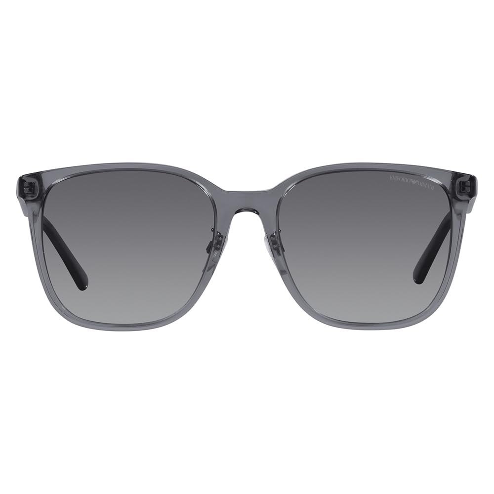 EA4206D Asian Design [Emporio Armani]