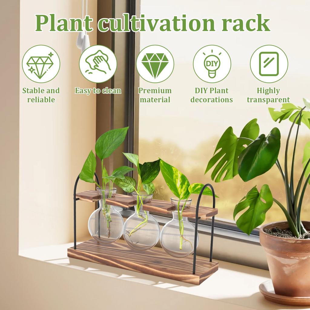 2 Stück Pflanzen-Terrarium Glasvase mit Holzständer zur Vermehrung Kleine Hydrokulturpflanzen Heim-/Büro-Schreibtischdekoration