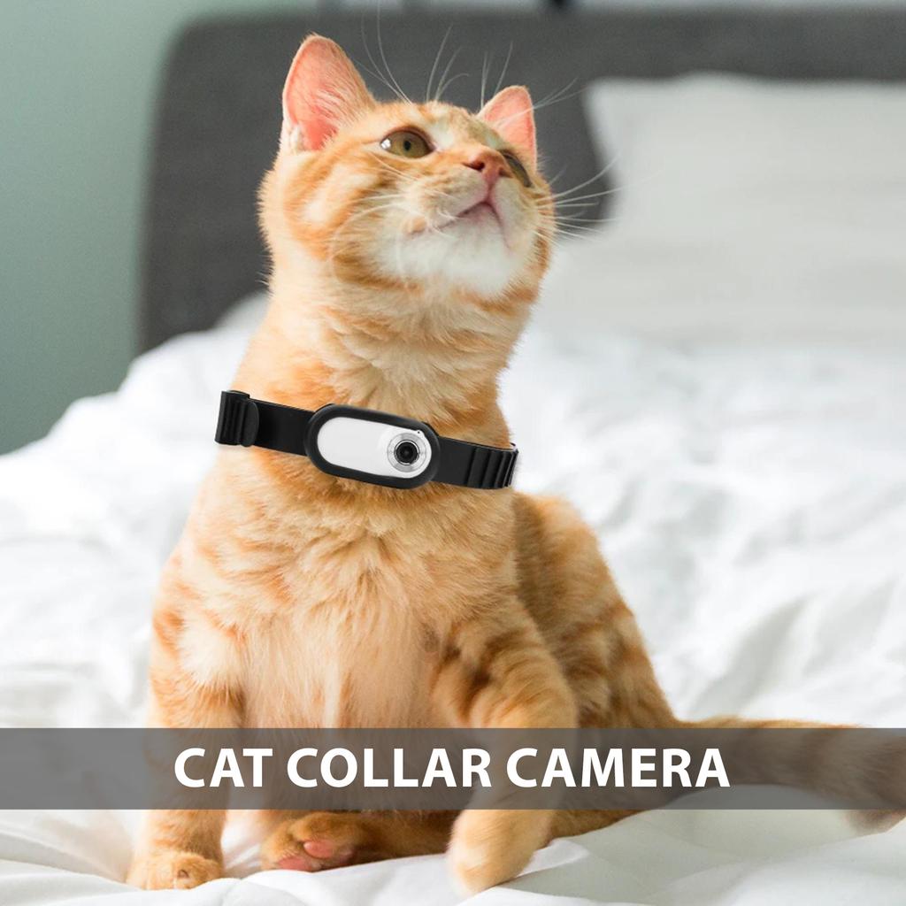 1080P Pet Camera Collar Cat Collar Camera 90 Degrees  Wide Angle Dog Collar Camera Mini Sports Camera