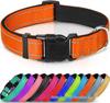 Ensemble Collier et Laisse pour Chien en Nylon Réfléchissant Réglable et Respirant - Taille Moyenne