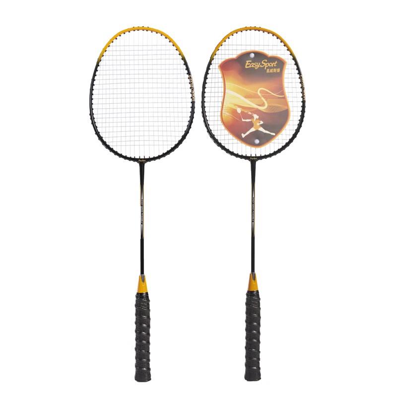 Evisbo Luxury Badminton Set