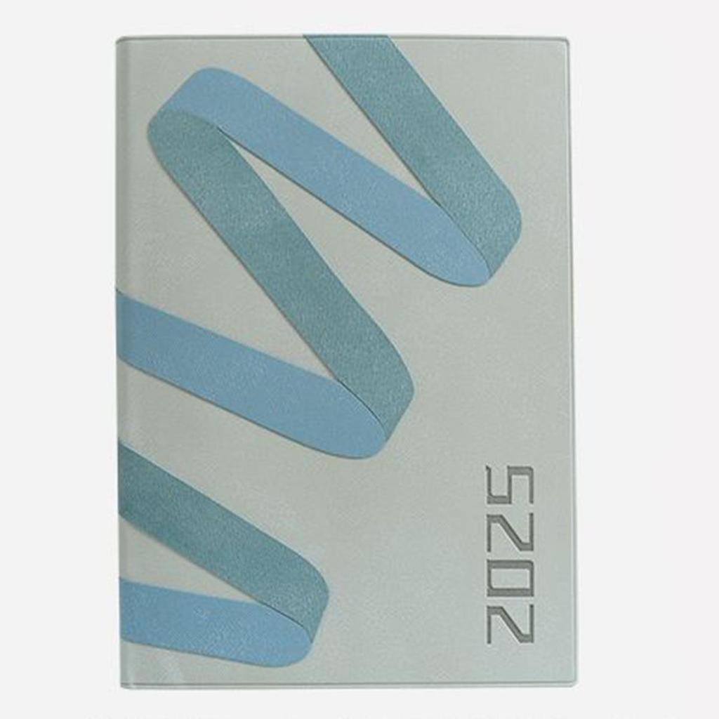 A5 dicker Leder Studenten-Zeitplaner, Jahresübersicht 2025, Business-Notizblock, 365-Tage-Tagesplaner, Memo, Notizbuch, 178 Blatt, 356 Seiten