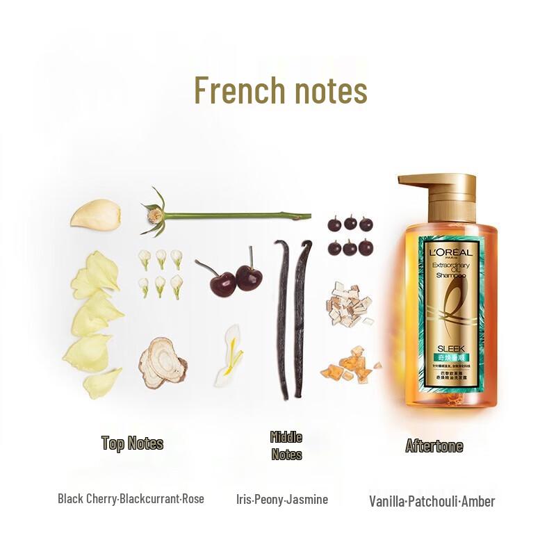 L'Oreal Men's Oil Control Cleanser & Extraordinary Oil Shampoo Set