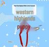 Cartoon West Highland Plush Keychain - Cute Girl Doll Backpack Pendant