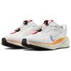 Nike Air Zoom Pegasus 41 EasyOn Blueprint Pack Herre Sneakers Flerfarget HM0374-900