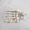 Detachable Full-Body Human Skeleton Model for Teaching & Study