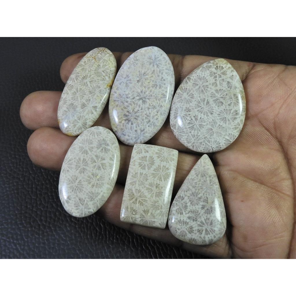 222Cts. Natural Fossil Coral Mix Cabochon Loose Gemstone 6Pcs Lot C-1900