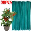 Green Plant Support Sticks Green Bamboo Sticks Tomato Vegetables Stake Bouquets Decor Sticks Plant Care Accessories Garden Tools