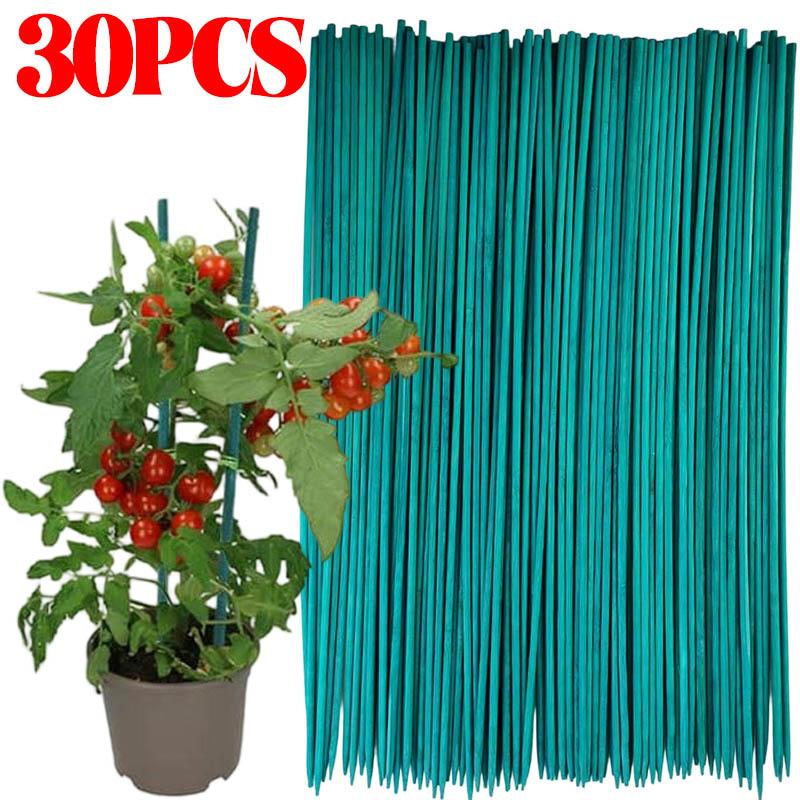 Green Plant Support Sticks Green Bamboo Sticks Tomato Vegetables Stake Bouquets Decor Sticks Plant Care Accessories Garden Tools