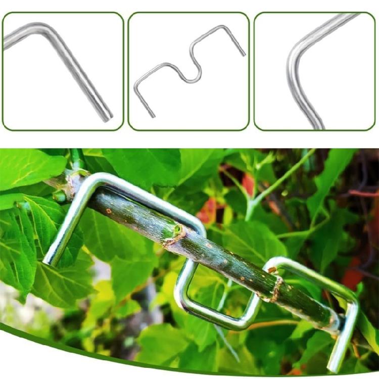 30Pieces Metal Branch Spreaders for Fruit Trees Easy Installation for Home and Professional Use Tree Branch Shaper Tool