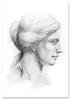 Poster Greek Statue Profile Sketch