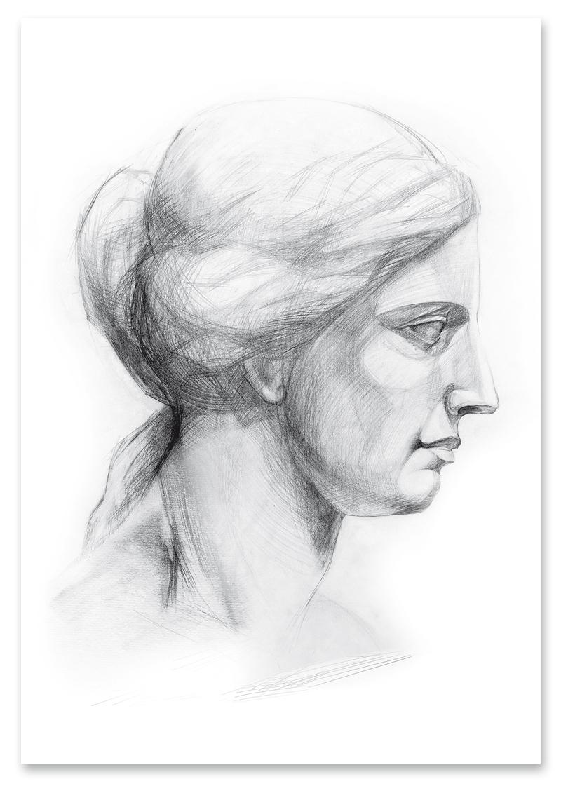 

Plakat grecki posąg profil szkic 30x40 cm