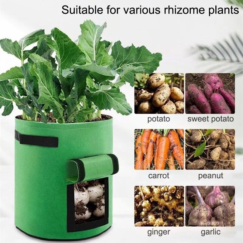 Reusable Non-Woven Felt Planting Bag with Harvest Window for Vegetables