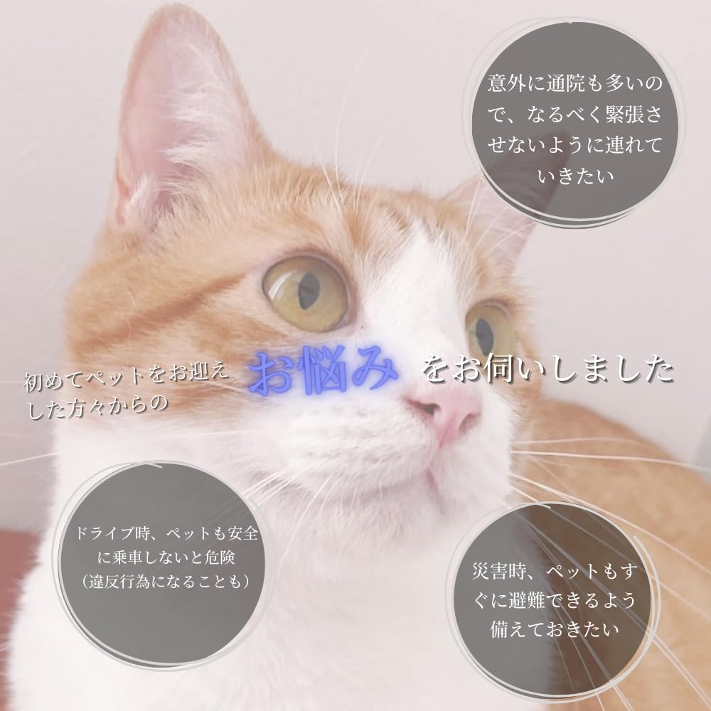 Pet Carrier with Mesh Toy Included Fortune-smile, Bag, Window, Tamper-proof