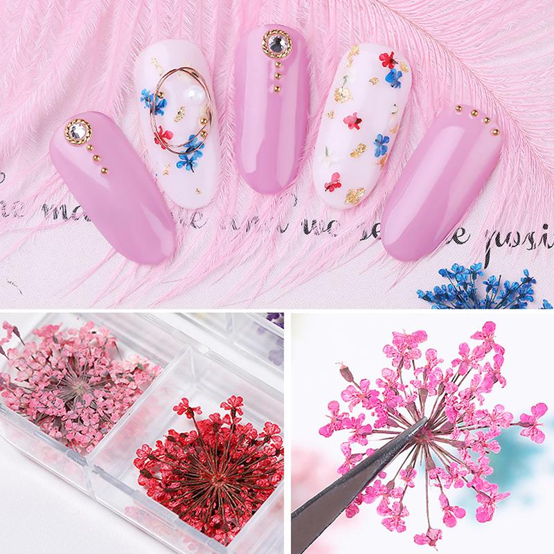 Flower Nail Art Decoration Real Mini Dried Blossom Natural Floral Stickers Nail Charms Diy Manicure Nails Accessories Home Salon