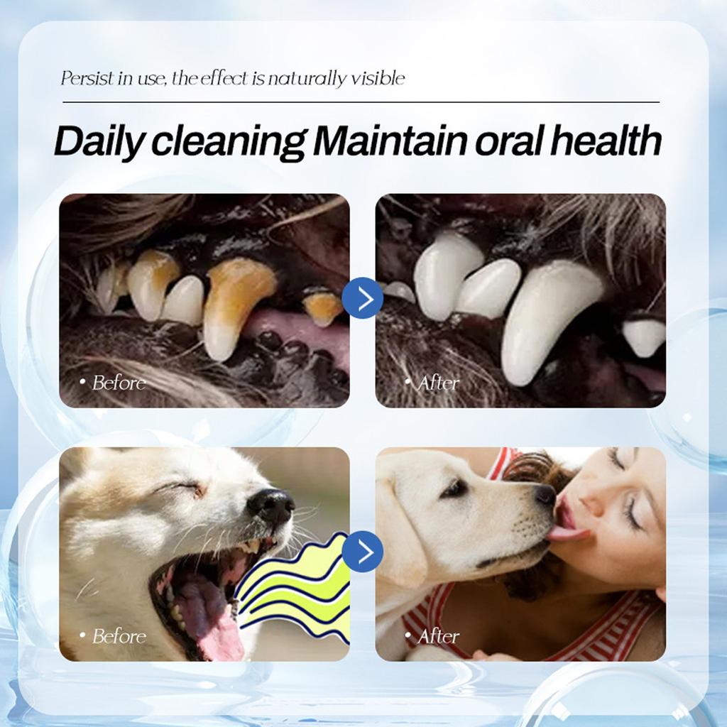 Pet Oral Spray To Remove Odor And Freshen The Breath100ml