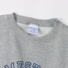 Champion Short Sleeve Crew Neck Oxford Size USA Collegiate Graphic Print Men's Sweatshirt, Basic, Gray, M, C3-X017, Cotton, Fleece,