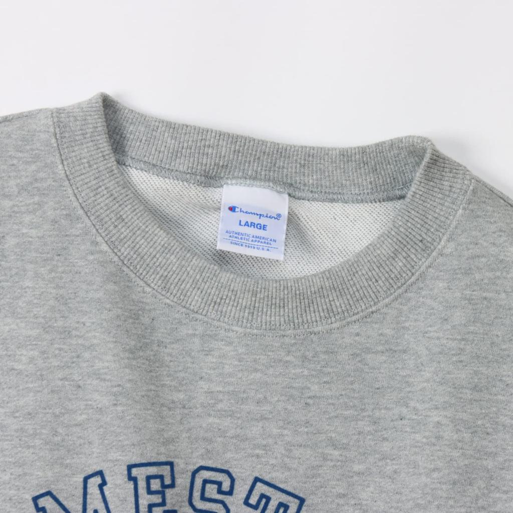 Champion Short Sleeve Crew Neck Oxford Size USA Collegiate Graphic Print Men's Sweatshirt, Basic, Gray, M, C3-X017, Cotton, Fleece,