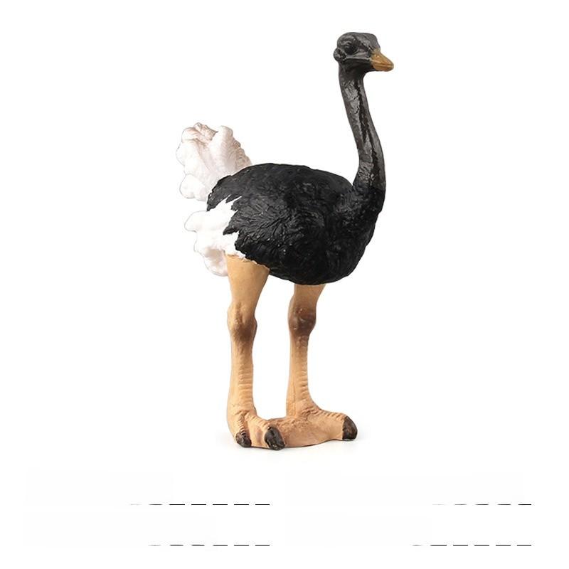 Childrens Bird Animal Model Pvc Realistic Australian Ostrich Baby Figurine For Educational Play And Farm Decor