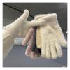 Cycling Imitation Rabbit Fur Plush Gloves for Women, New Autumn and Winter with Plush Insulation, Cute and Divided Finger Cold Resistant Gloves