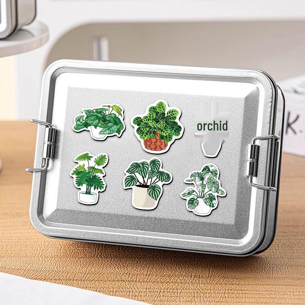 Magnet na lednici s rostlinnou zelení - Design čerstvé malé hrnkové rostliny