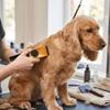 Cordless Dog Grooming Clipper Waterproof Cat Grooming Shaver Pet Beauty Shaver Pet Barber