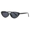 2pcs Fashion New Cat Eye Sunglasses for Women Brand Designer Retro Rivets Brown Sun Glasses Female Shades UV400 Black Eyewear
