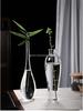 Zen Transparent Glass Vase for Hydroponic Plants and Small Mouth Flower Arrangements