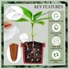 500ML Plant Watering Globes Watering Bulbs Clear Flower Automatic Watering Device Auto Waterer Tool