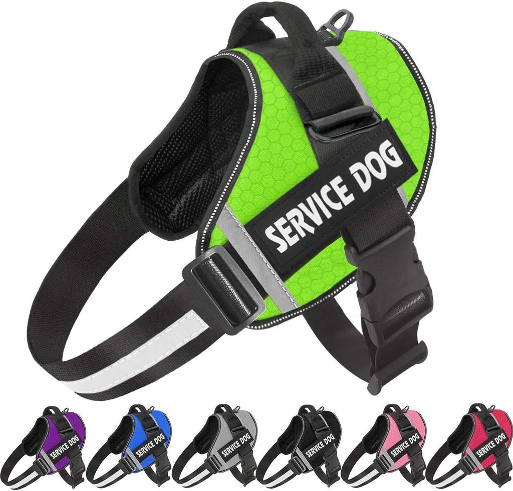 Reflective Pet Harness & Leash - Comfortable Vest-Style Design