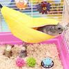Banana Hamster Bed House Hammock Small Animal Warm Bed House Cage Nest Hamster Accessory for Sugar Glider Hamster Small Bird Pet