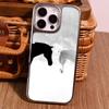Black and white steed for IPhone17promax mobile phone case Apple 15 matte PC16 personality 13 large holes 14 hard