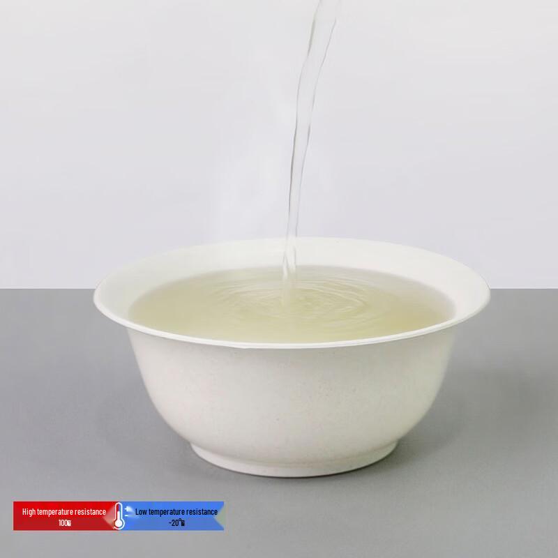 BATANUV Disposable Tableware Set for 10