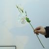 3Pcs Simulated 20.47 inch Silk Cloth 2 Platycodon Green Plants for Outdoor Courtyard Festival Ceremony Decoration