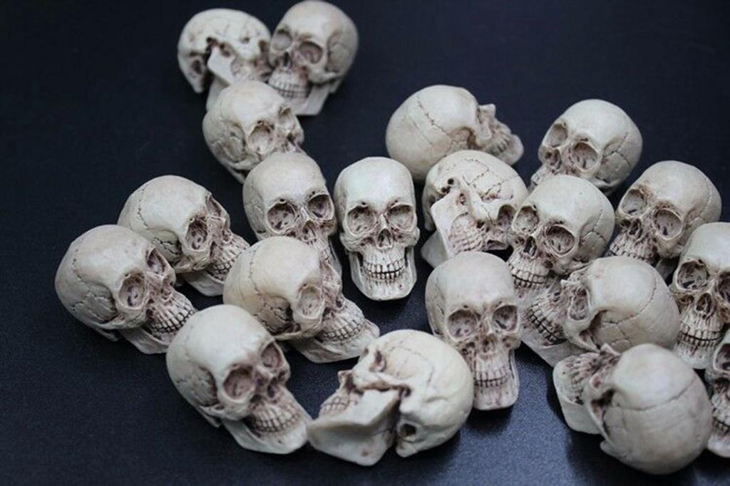 Mini Artificial Skull For Anatomical Scenes Perfect For Home Decor And Gifts
