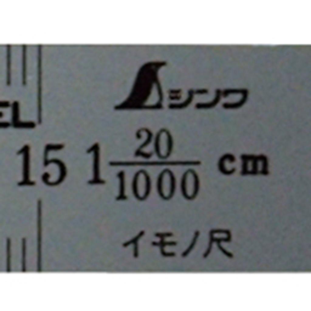 Shinwa Sokutei Imono Shaku 15cm 20cm Display Silver 18058