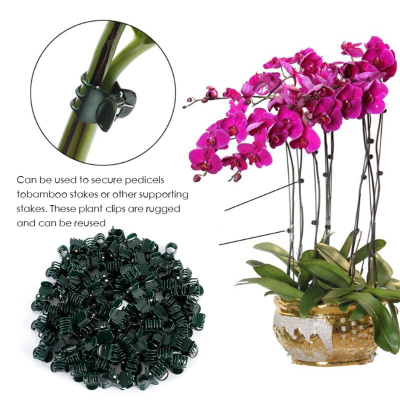 40PCS Plastic Plant Support Clips Orchid Stem Clip for Vine Support Vegetables Flower Tied Bundle Branch Clamping Garden Tool