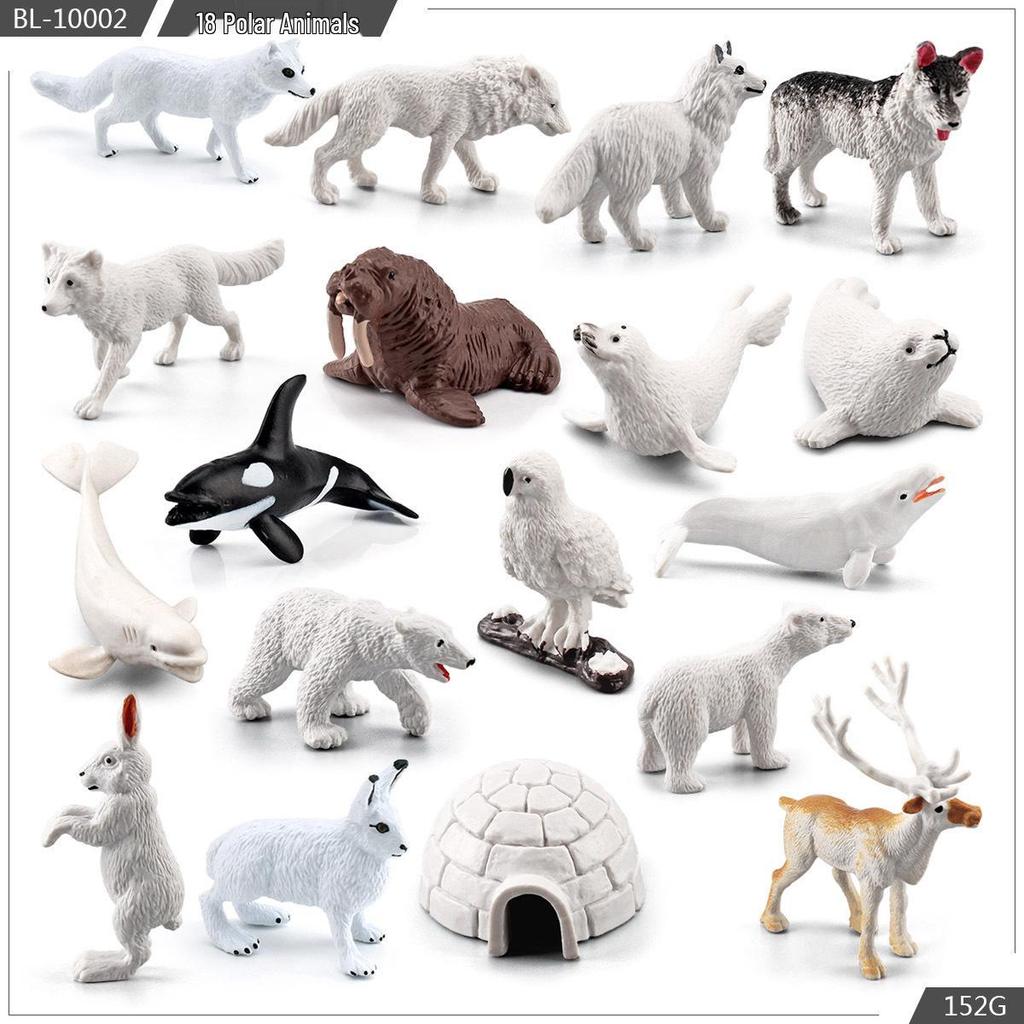 Realistic Arctic Animal Models: Polar Bear, Arctic Fox, Seal, Walrus, Whale