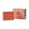Dr. Shampooing Arbre Solid Strength 75 Gr
