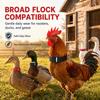 2pcs Lightweight Rooster Collar Durable Anti Hook Neck Belt Chicken Neckband  For Roosters