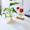Nordic Wood Art Hydroponic Vase - Pothos Ornament for Living Room & Office Decor